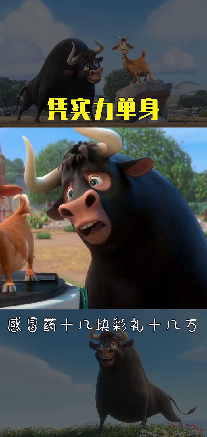 熊猫TV-竞技高手展现实力，赛场上凭实力争胜的简单介绍