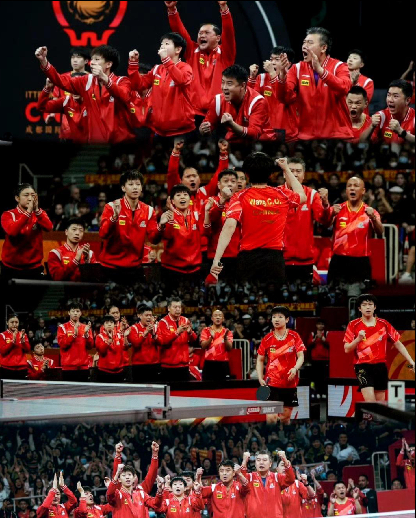 熊猫体育下载-中国乒乓球队碾压瑞典乒乓球队，波尔一己之力扛起全队